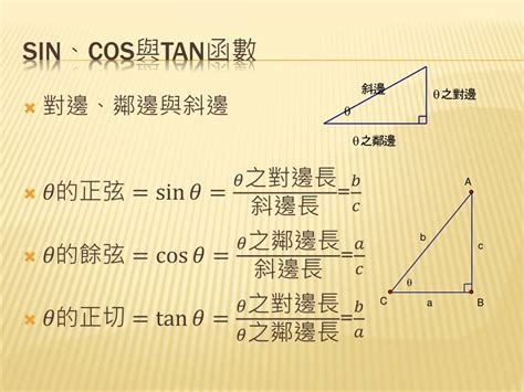 斜邊分支對邊